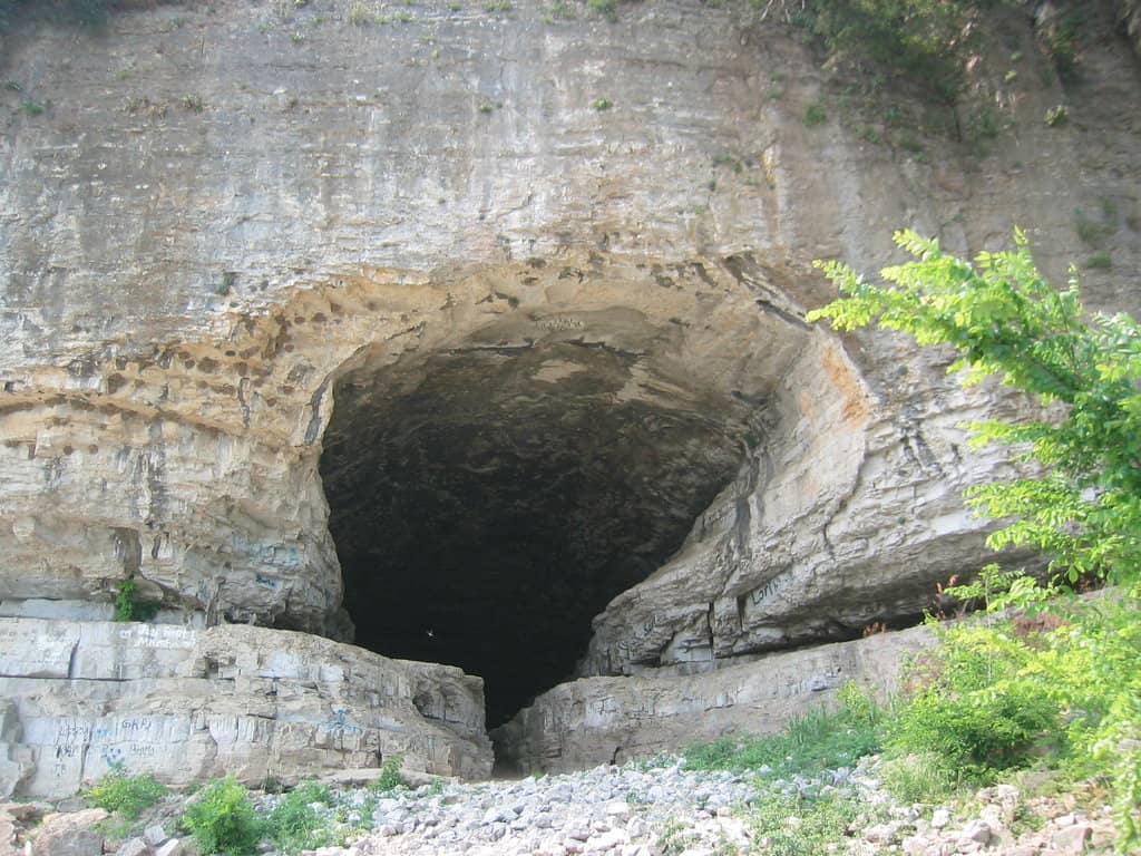 Vertical photo