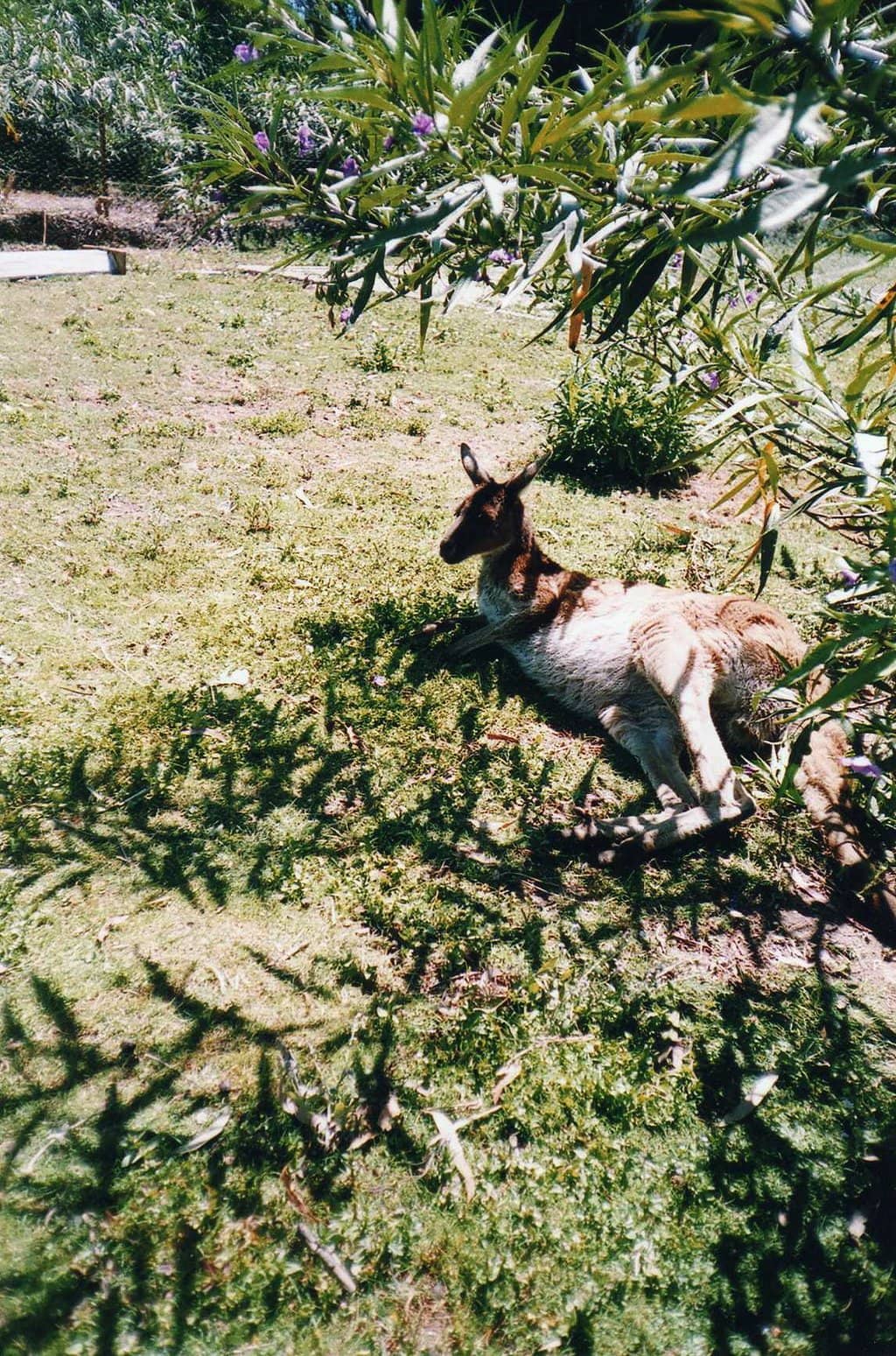 Vertical photo