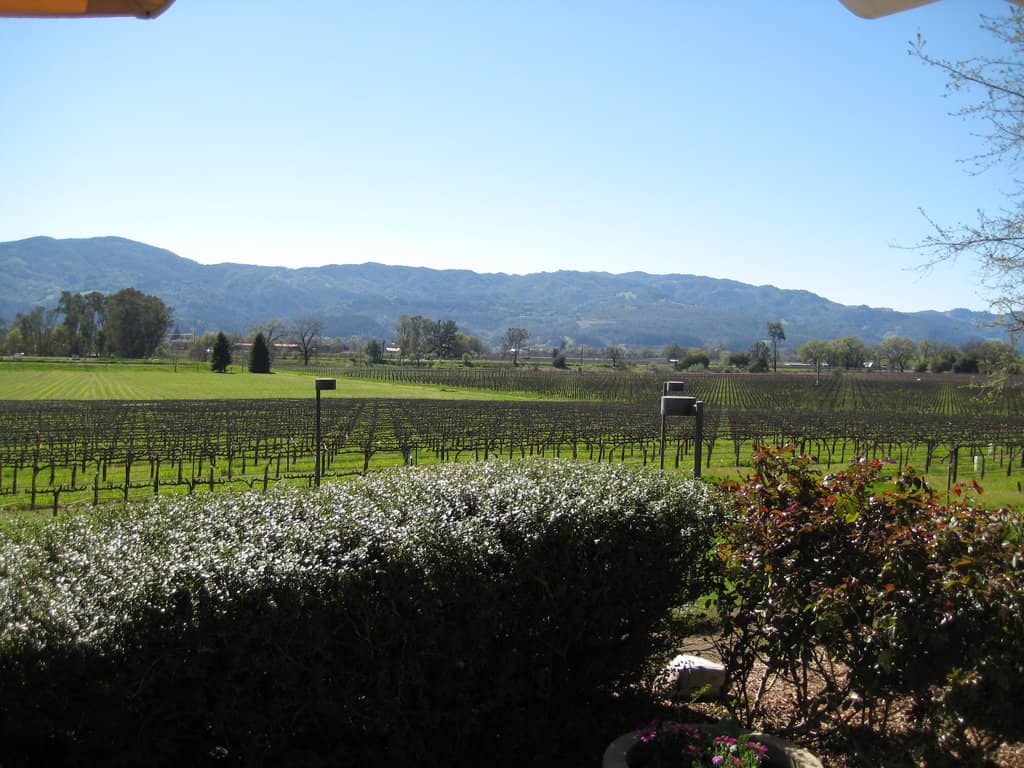 Mumm Napa History & Production