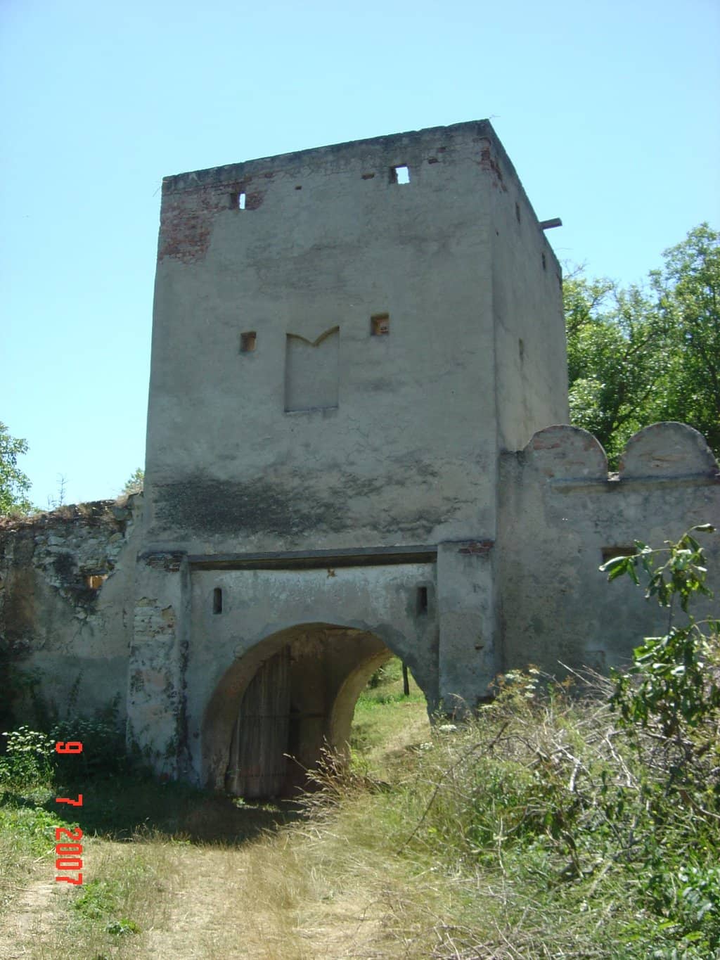 Vertical photo