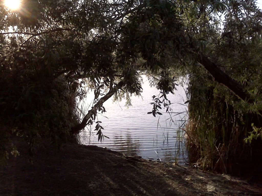 Vertical photo