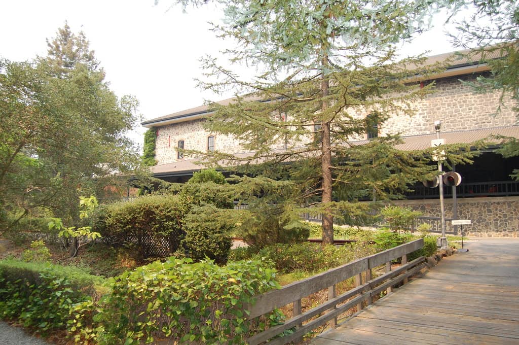 Signature Chardonnay