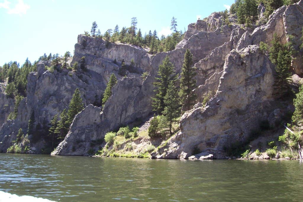 Abundant Wildlife Sightings