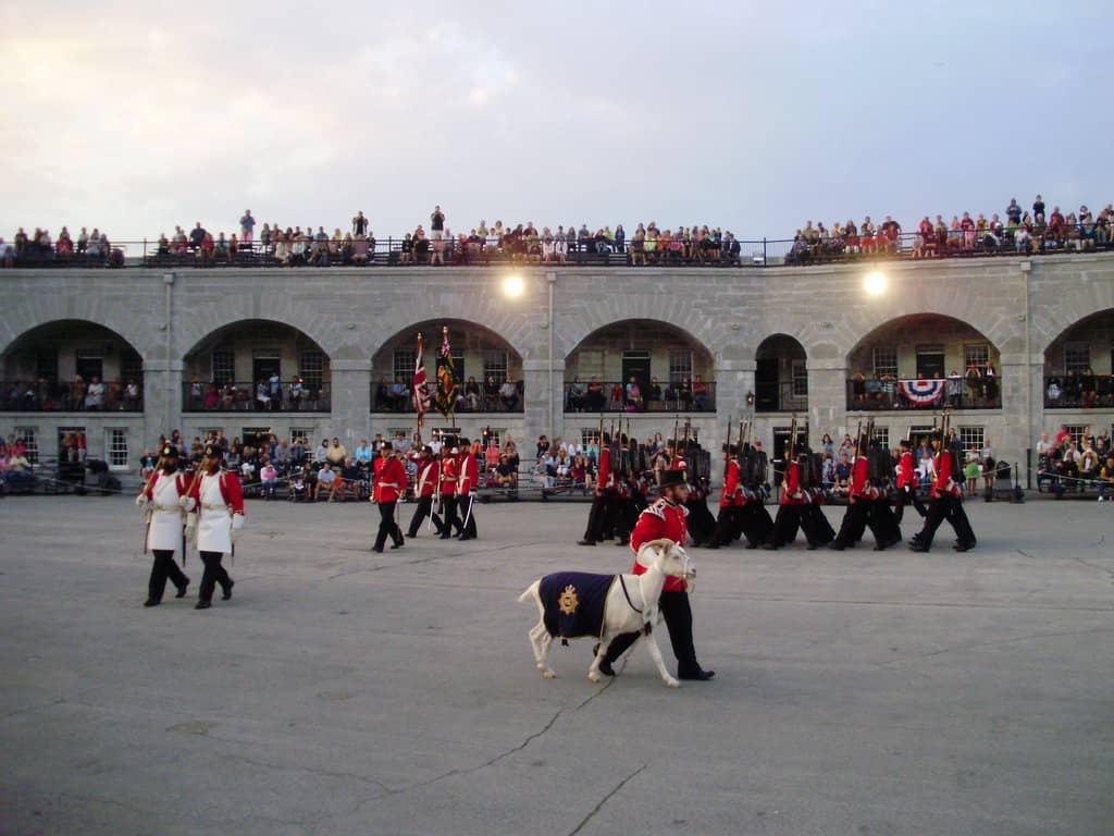 Live Military Re-enactments