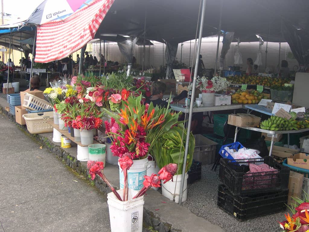 Exotic Tropical Fruits