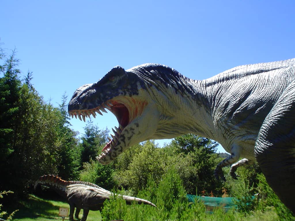 Engaging Guided Tours