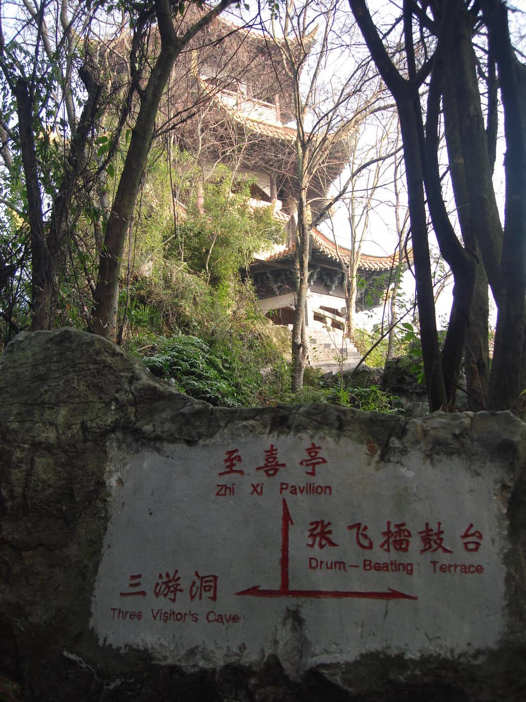 Vertical photo