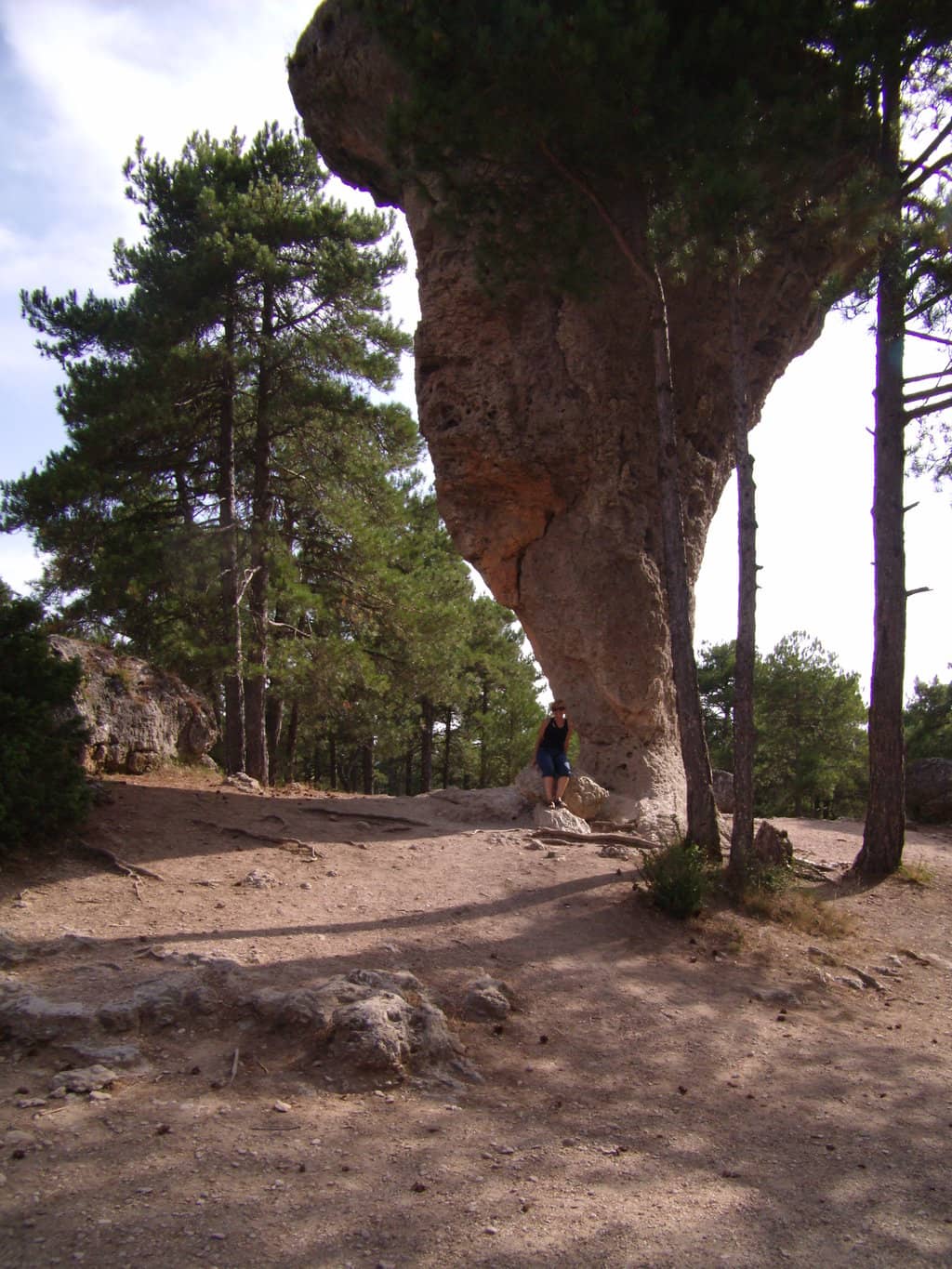 Vertical photo