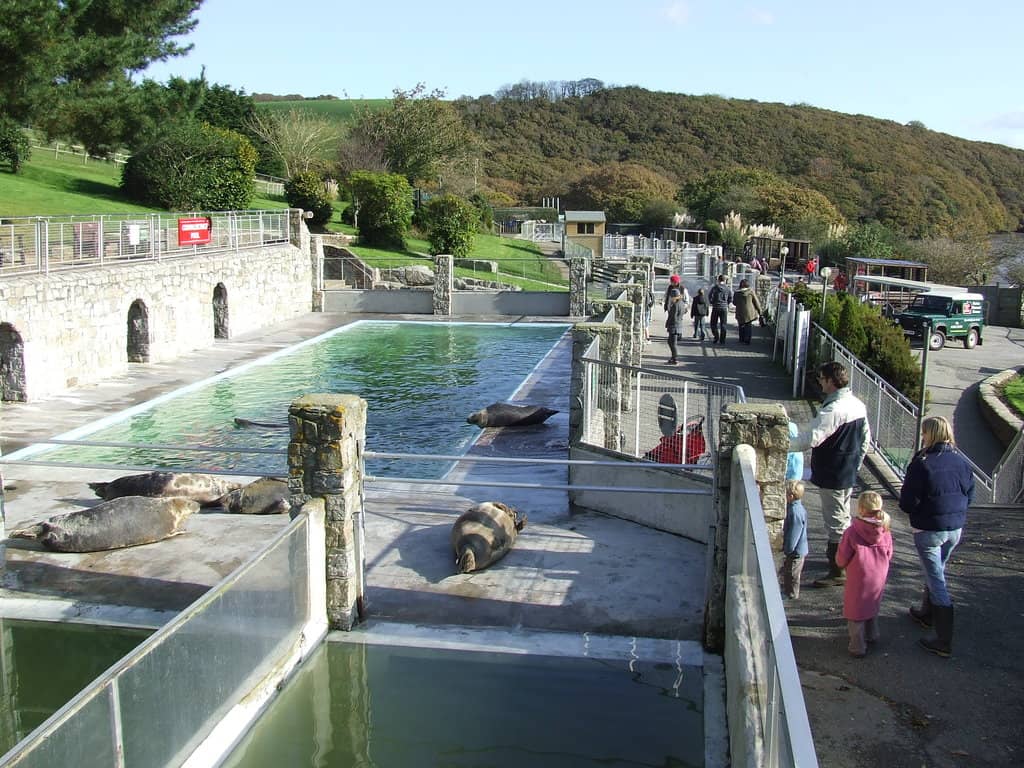 Beaver Creek Woodland Walk