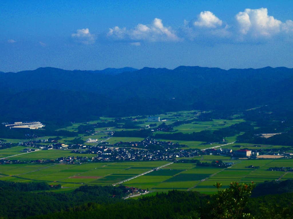 Inviting Grassy Fields