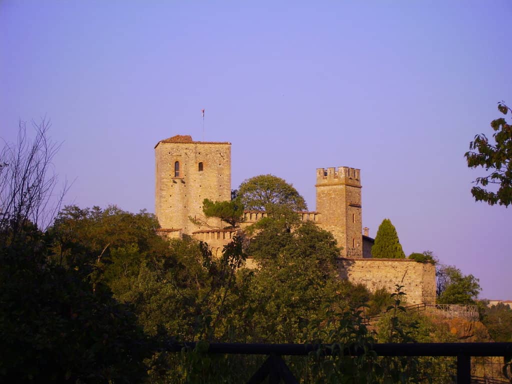 Vertical photo
