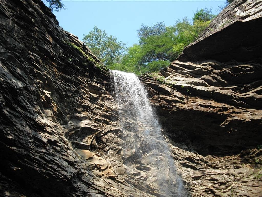 Vertical photo