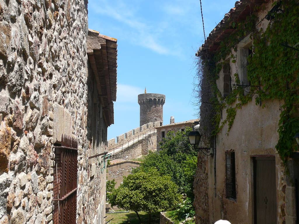 The Medieval Walls