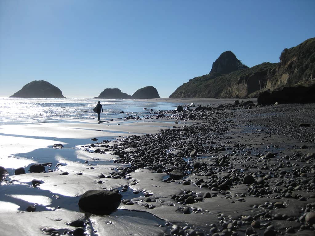 Coastal Walkway Views