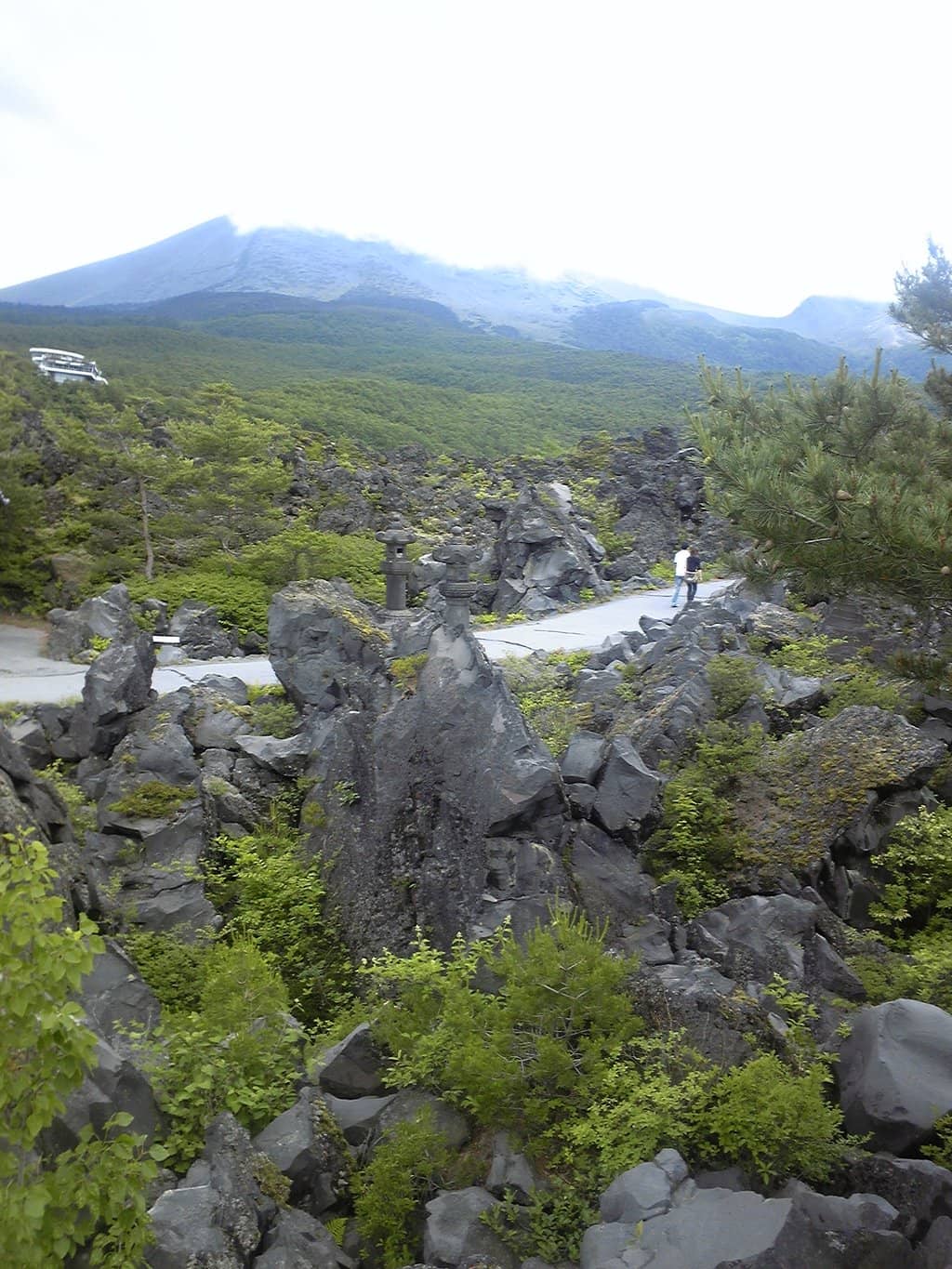 Vertical photo
