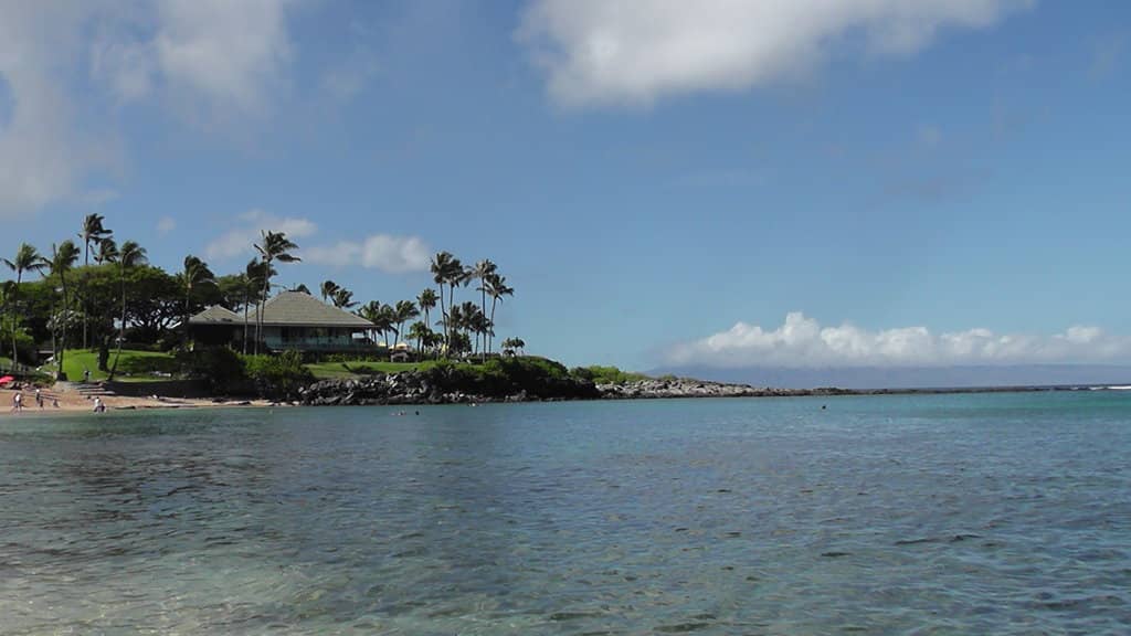 Vibrant Coral Reefs