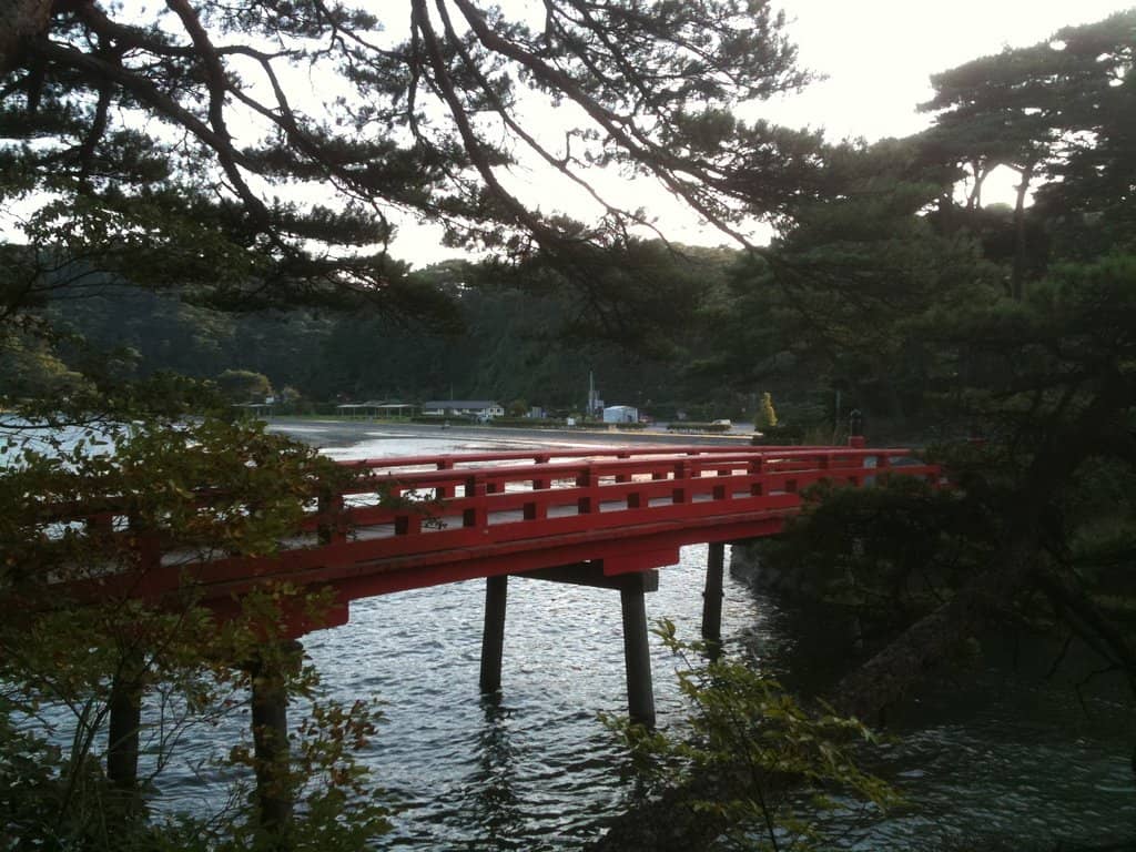 Vertical photo