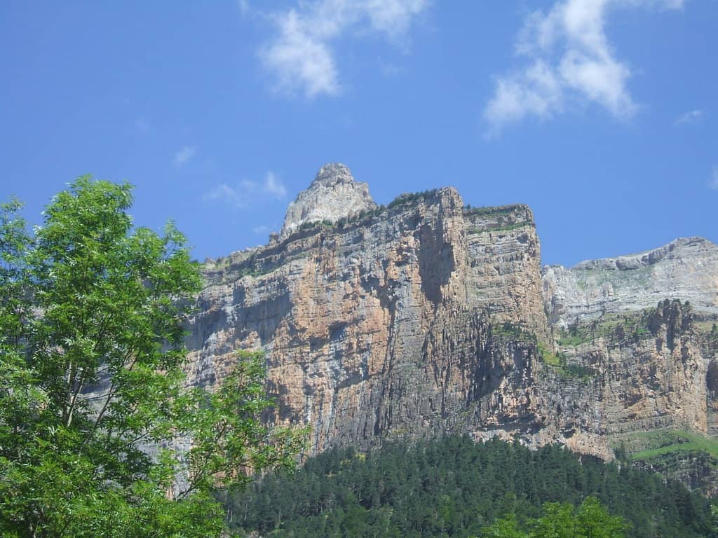 Vertical photo