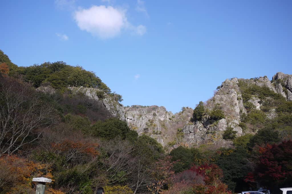 Autumn Foliage