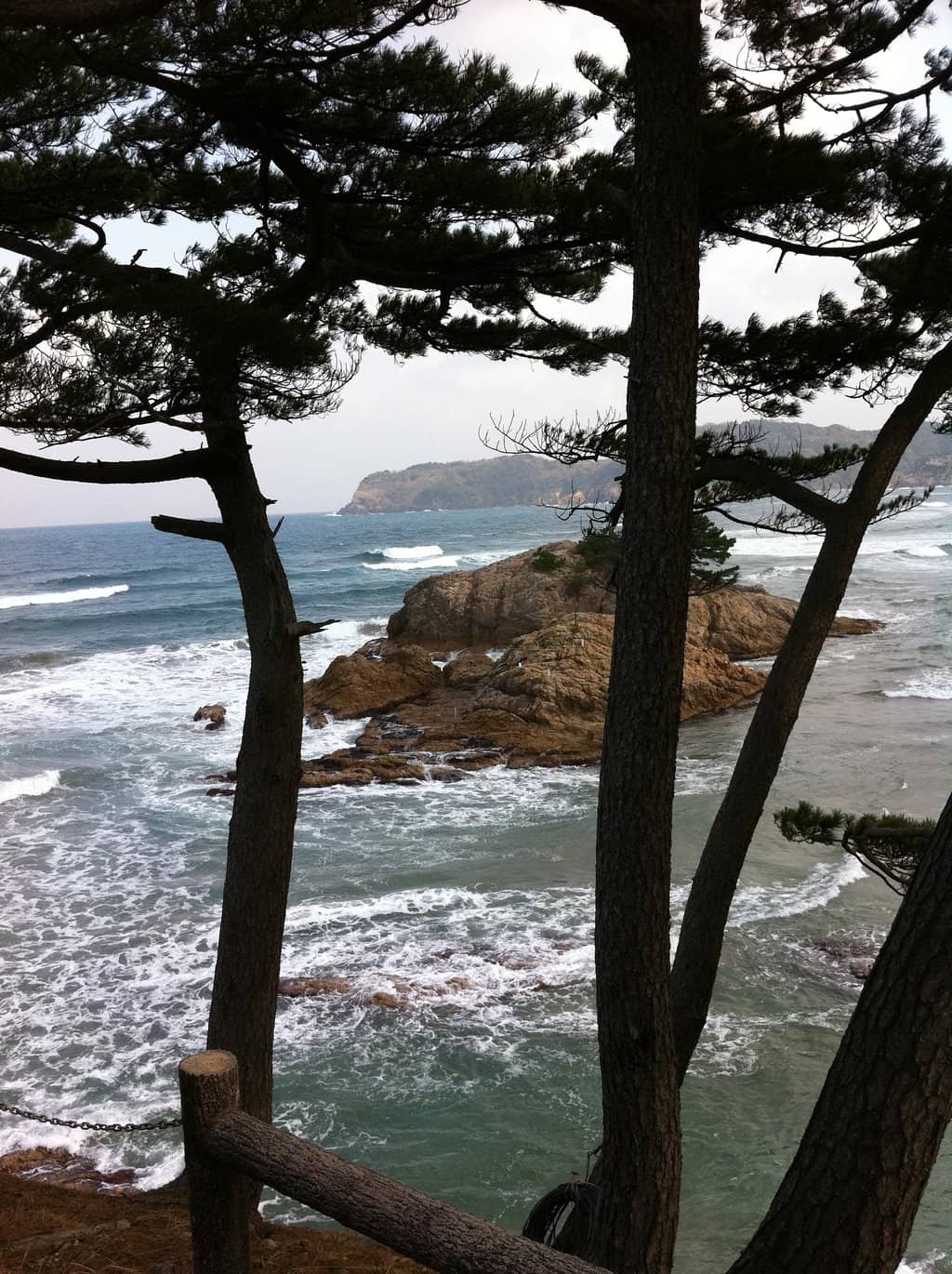 Scenic Walking Paths