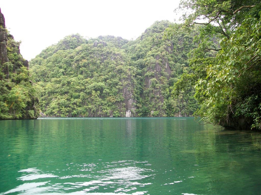 Vertical photo