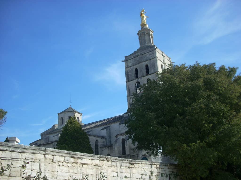 Vertical photo