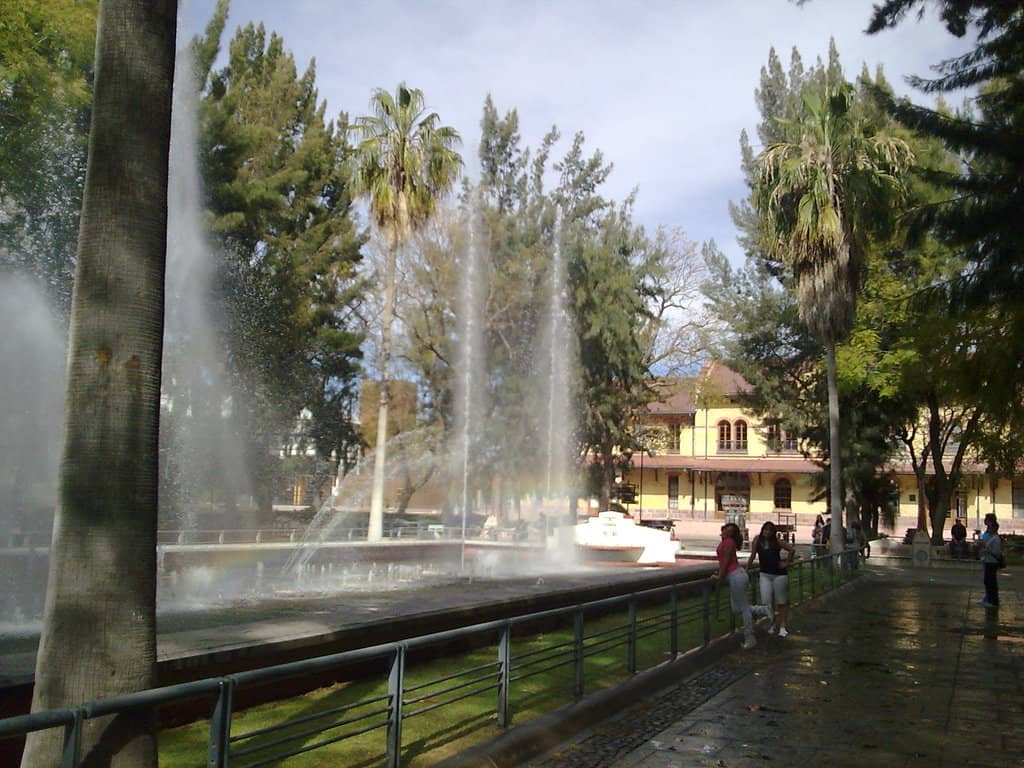 Vertical photo