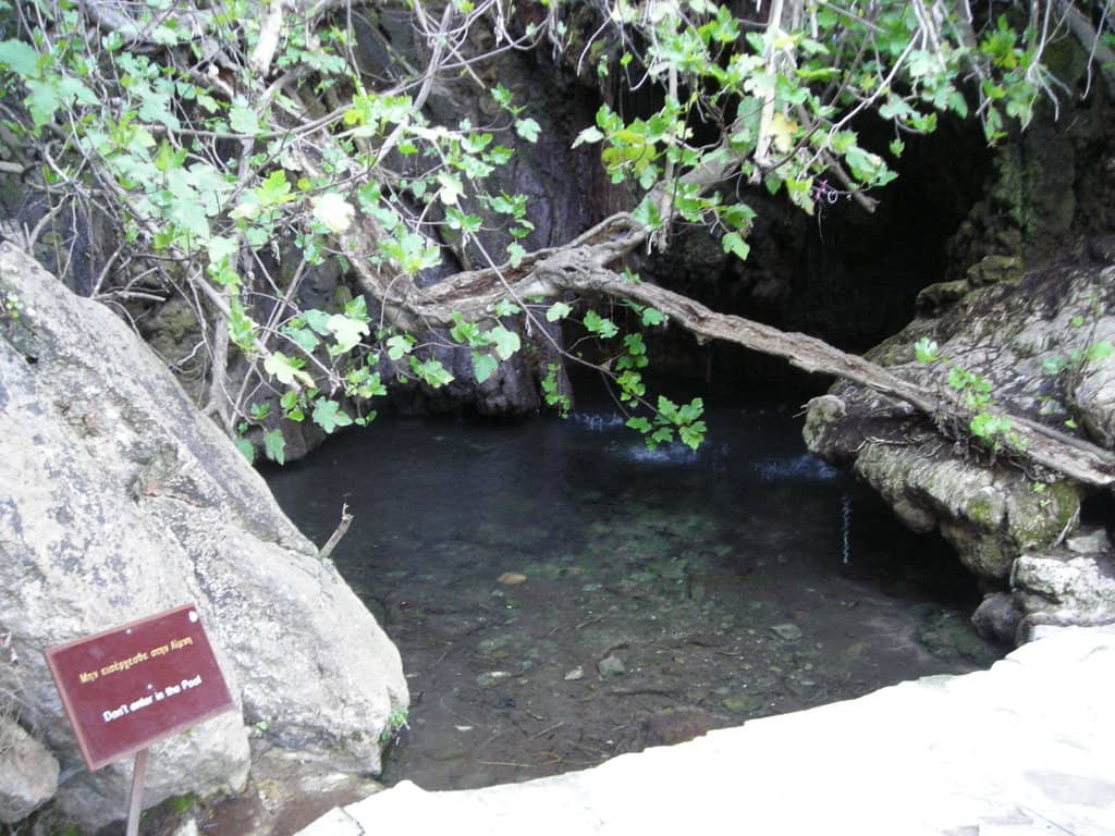 Vertical photo