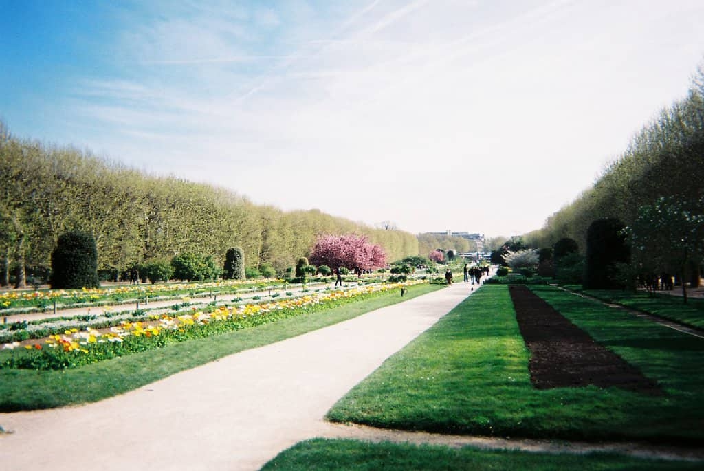 Beautiful Landscaping