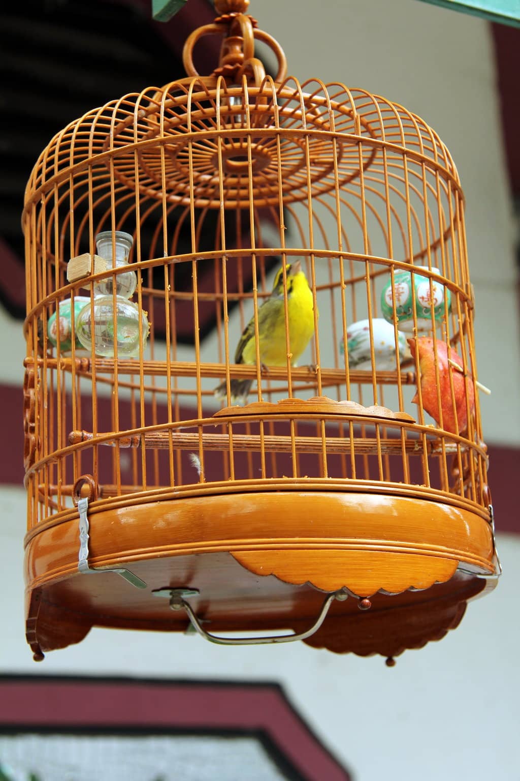 Vertical photo