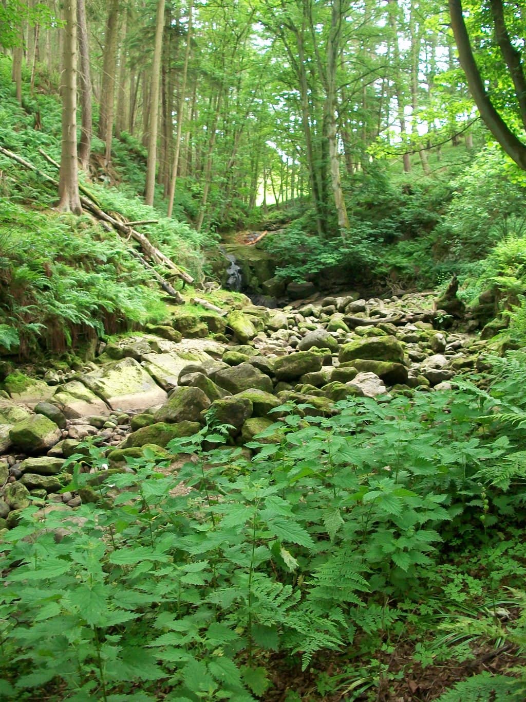 Themed Trails & Clues