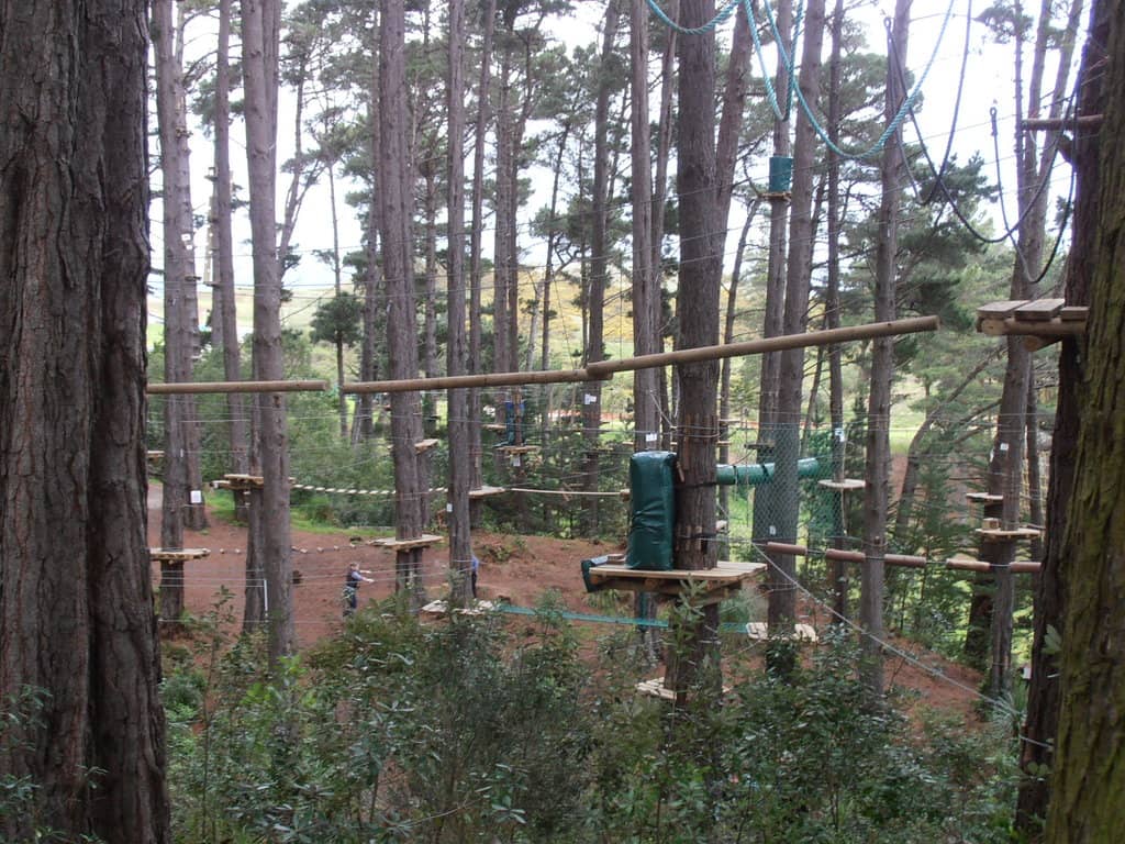 Treetop Obstacle Courses