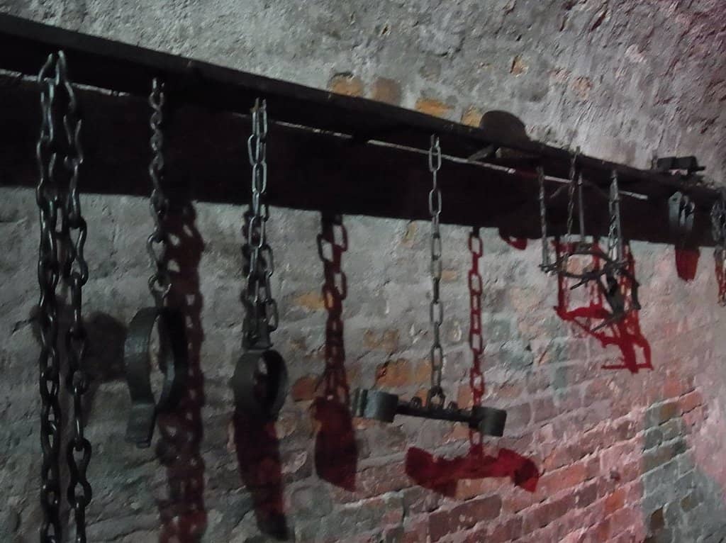 Informative Guided Tours