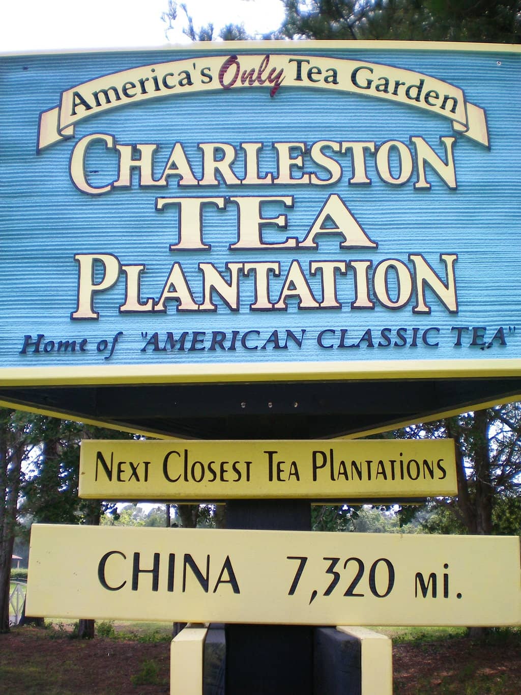 Volkan Konak Viewing Terrace