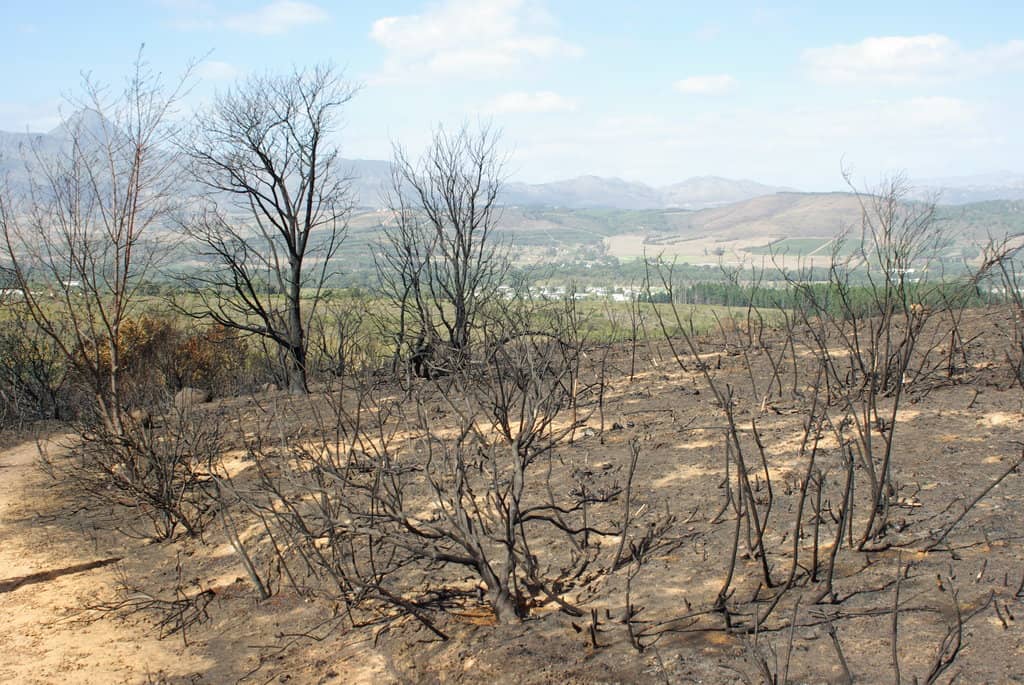 Peaceful Picnic Spots