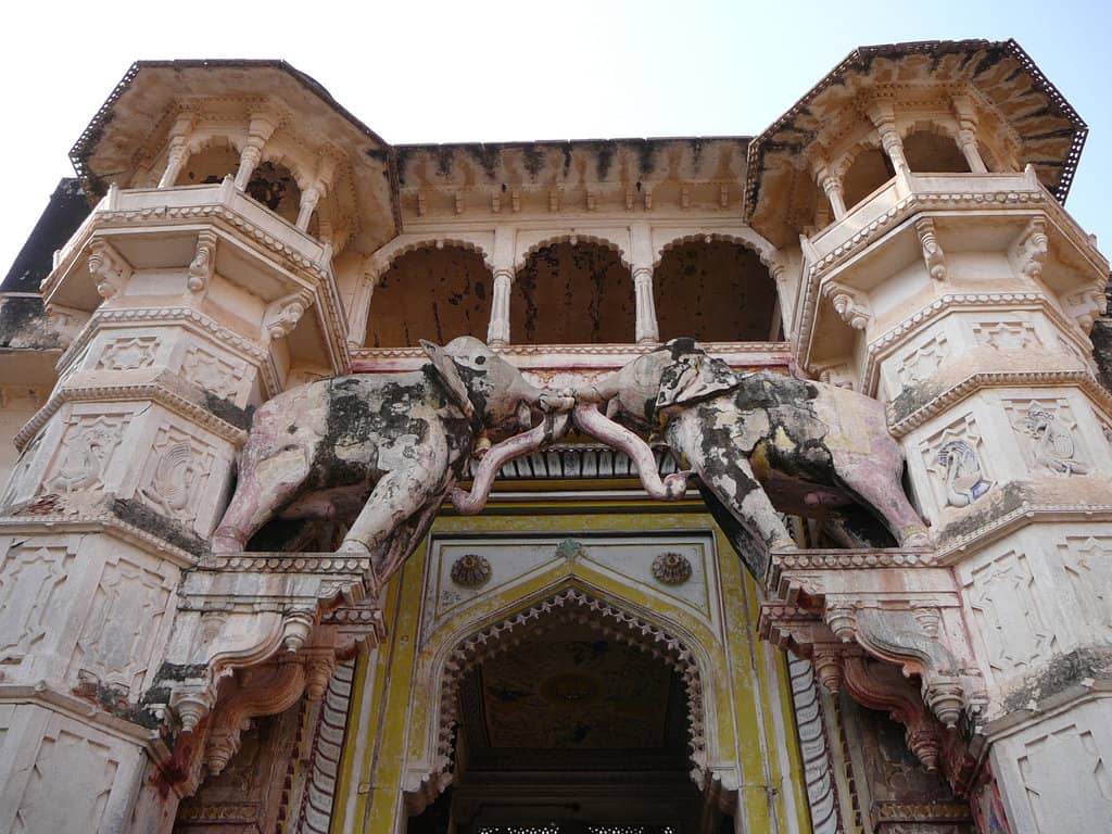 Vertical photo