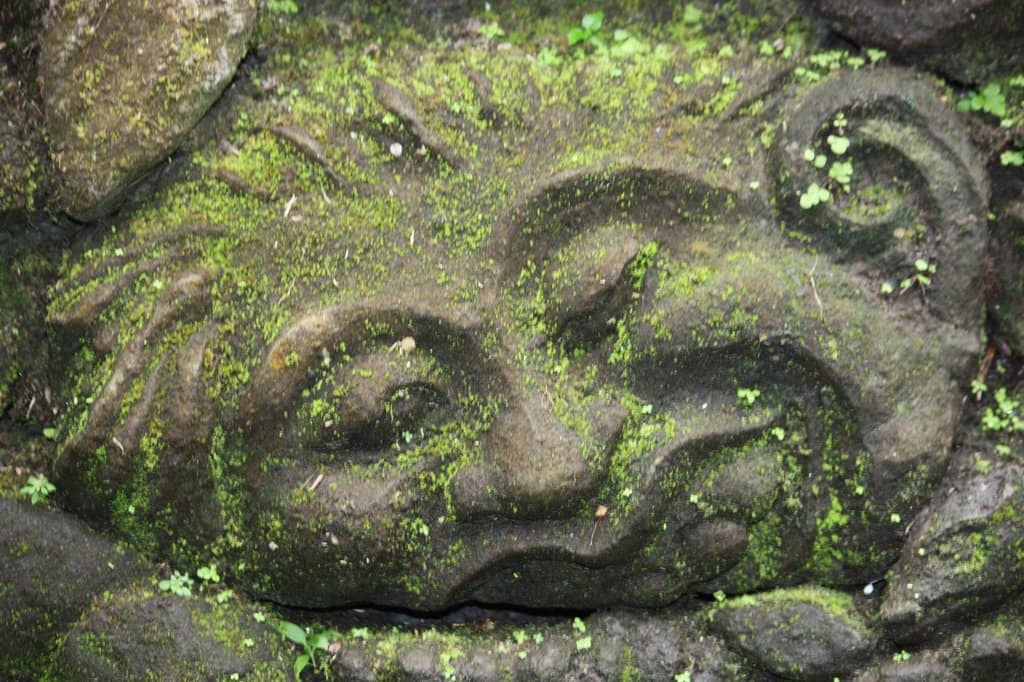 Contemporary Art Collection