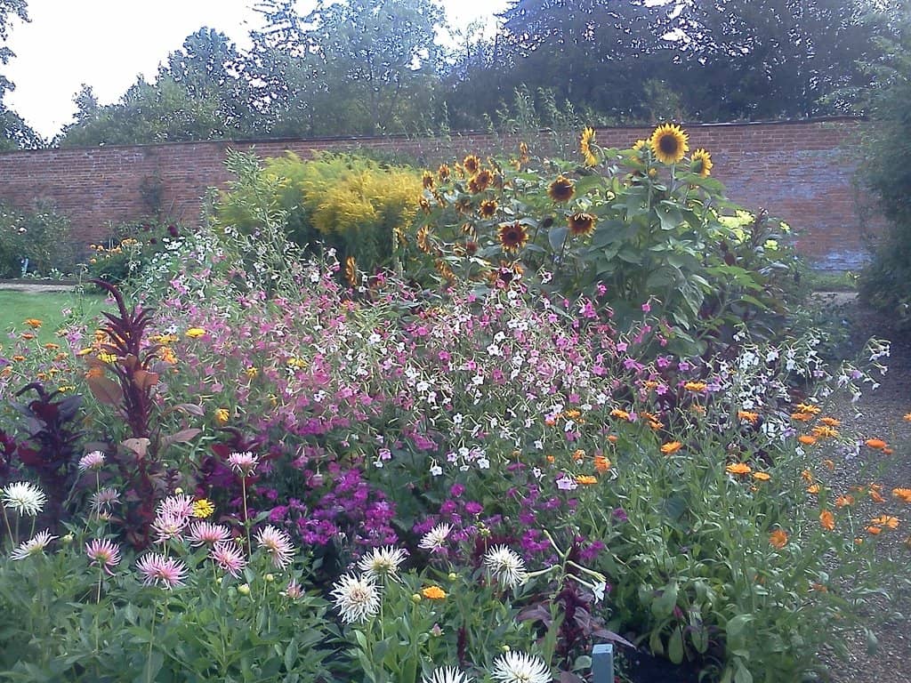 Enchanting Gardens
