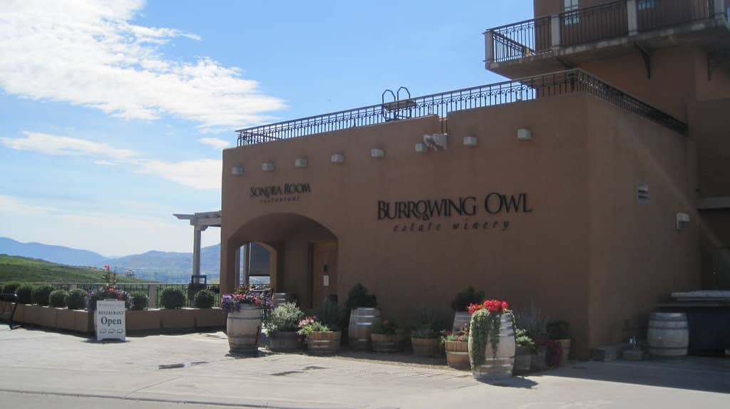 Burrowing Owl Conservation