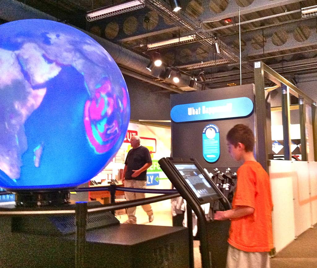 Shark & Otter Exhibits