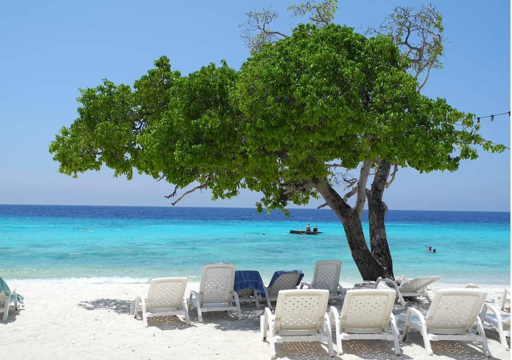 Vibrant Snorkeling Reef