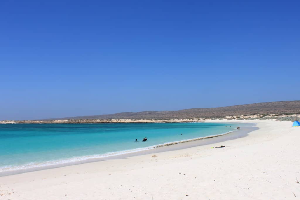 Drift Snorkeling Adventure