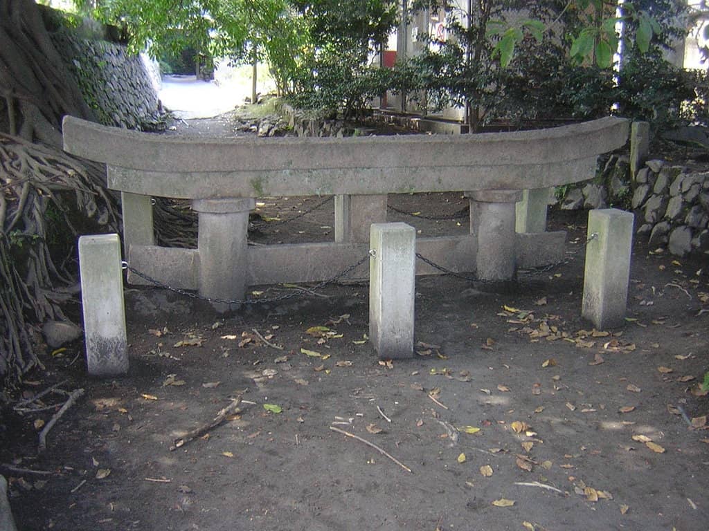 Vertical photo