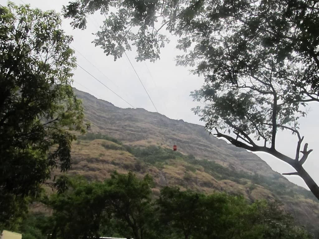 Vertical photo
