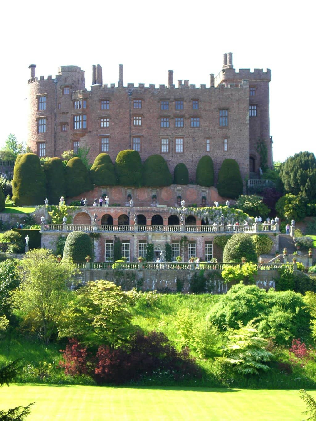 Wisteria Display