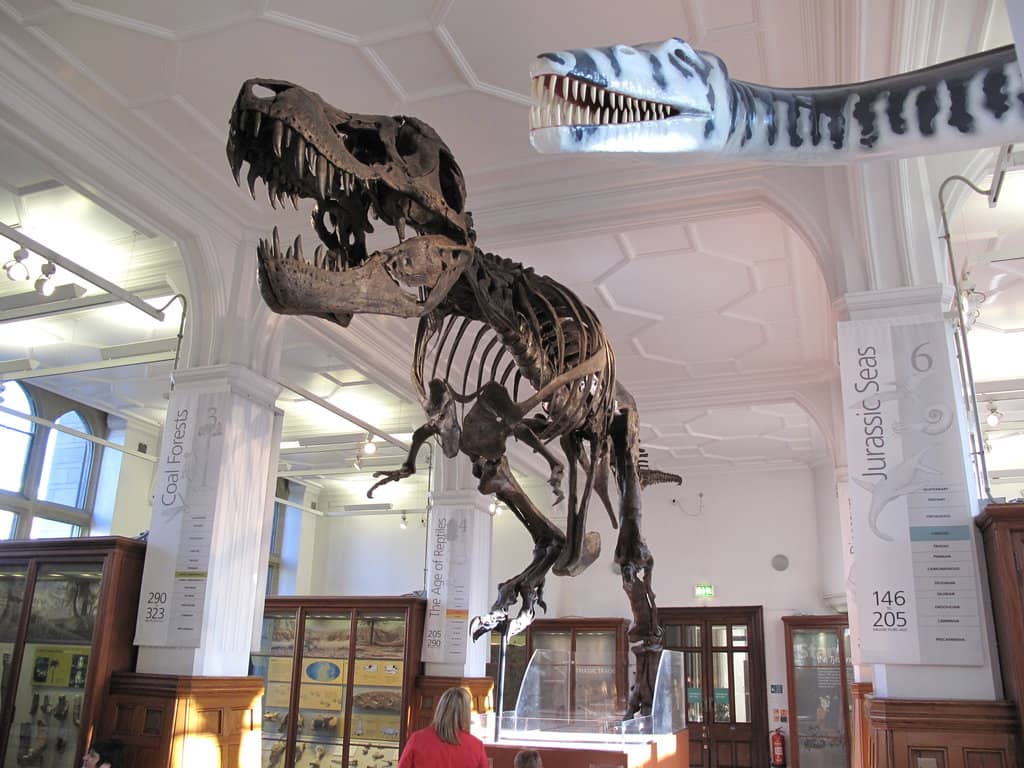 Stan the T-Rex