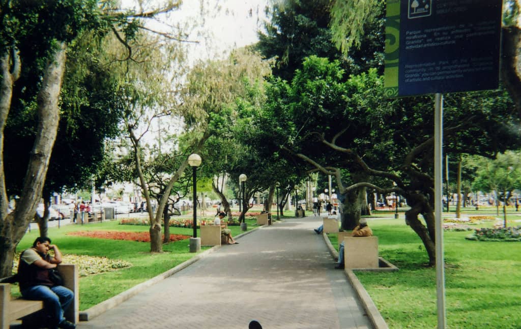 Vertical photo