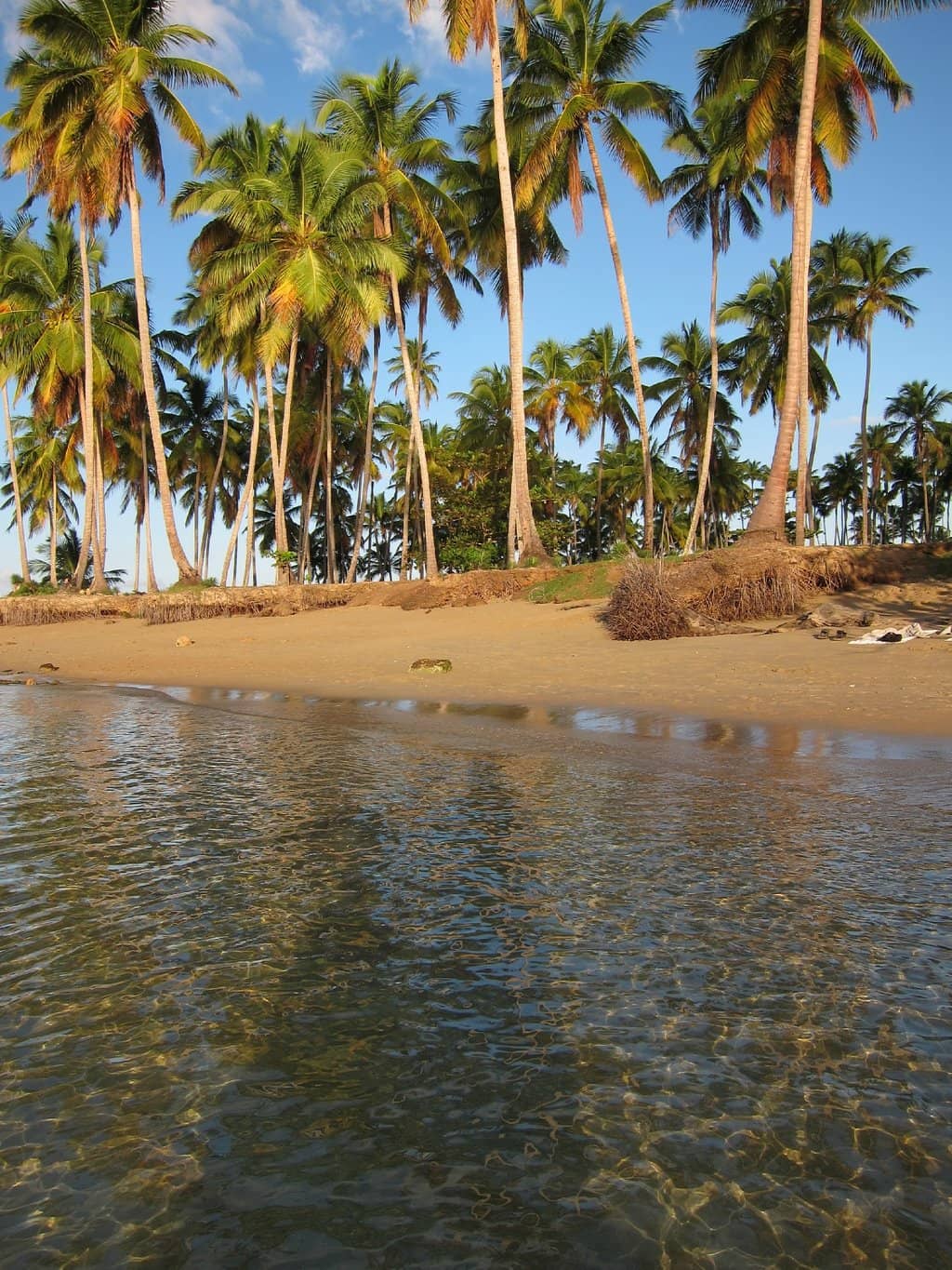 Secluded Beach Escapes