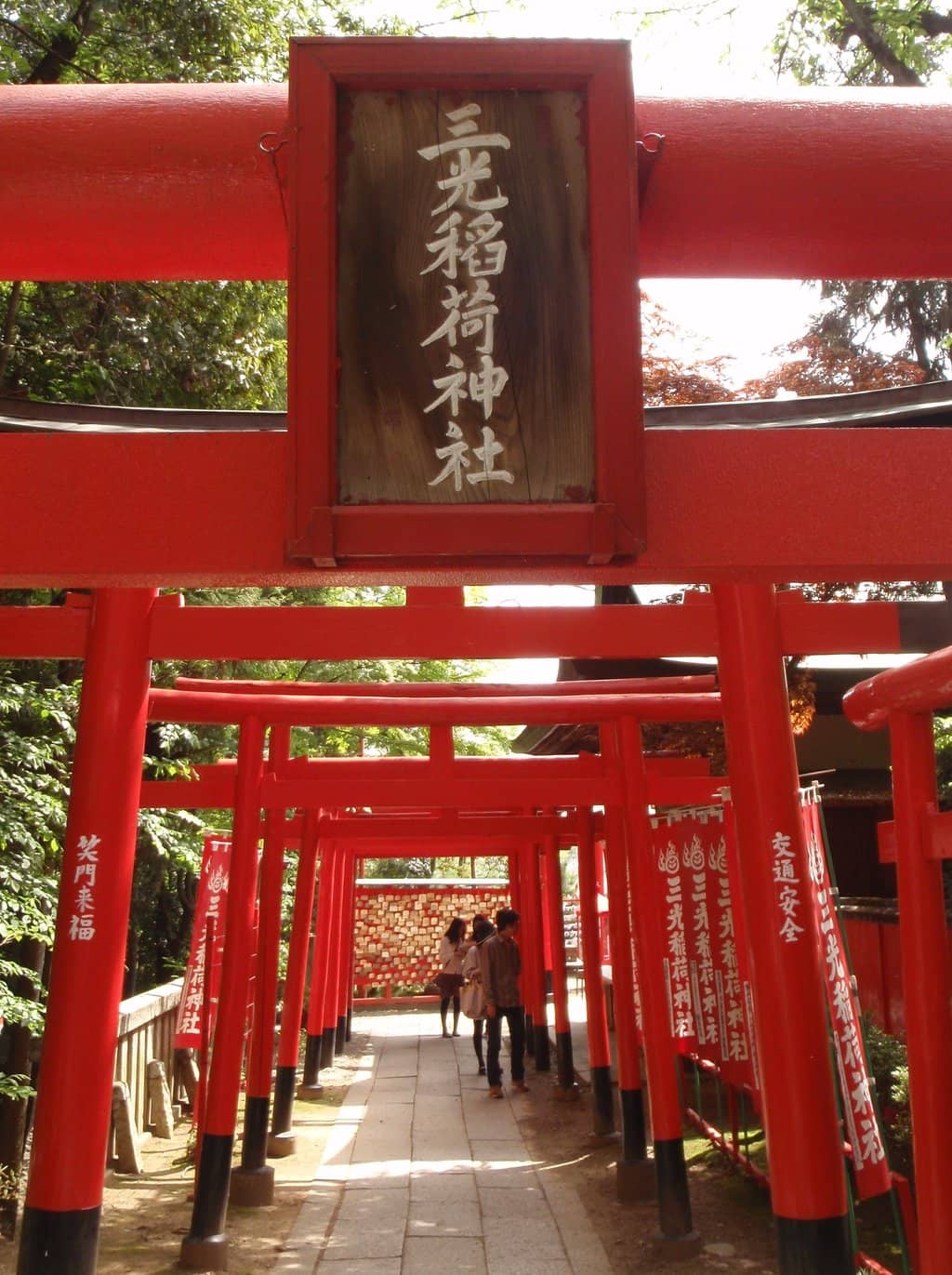 Vertical photo