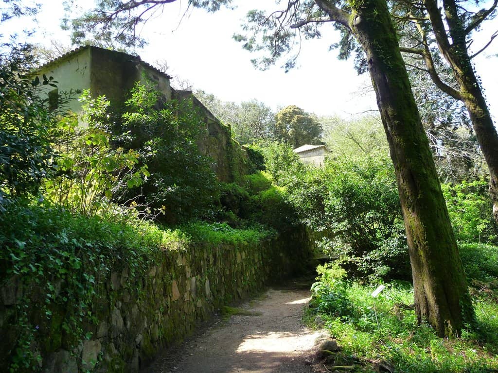 Integration with Nature